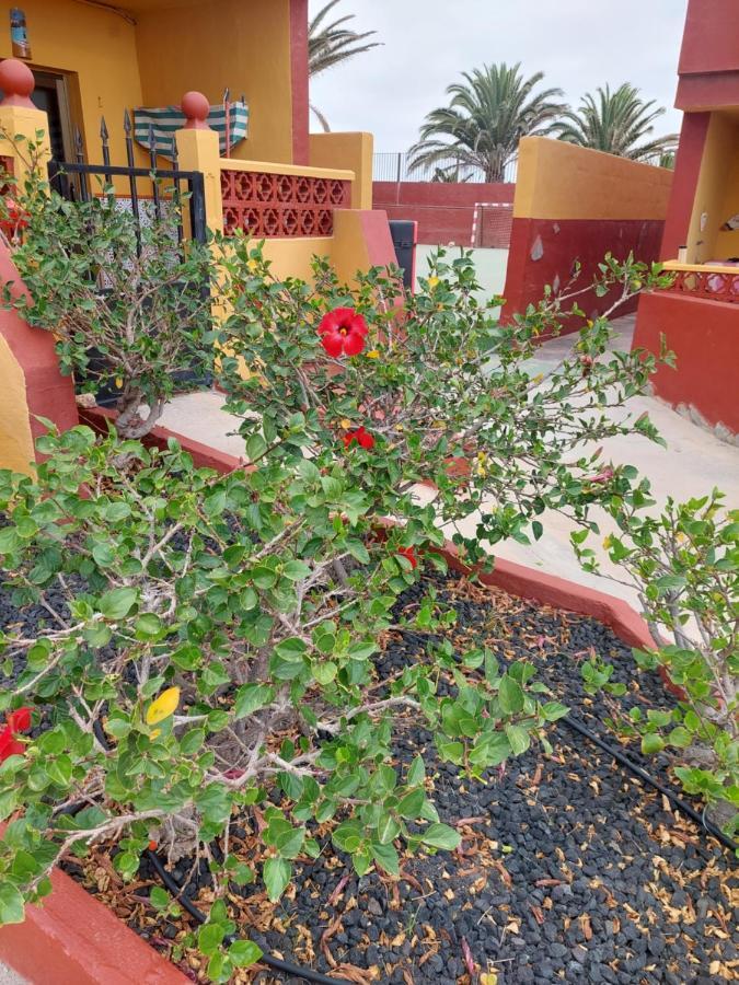La Paloma Buena Esperanza Appartement Costa De Antigua Buitenkant foto